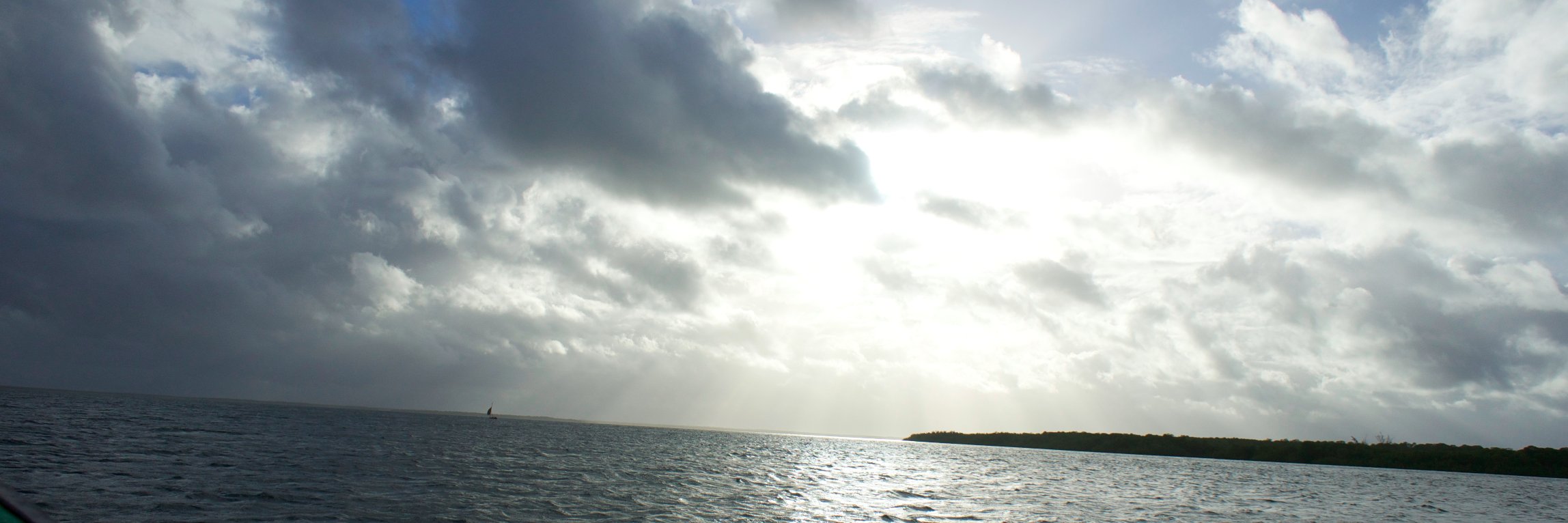 pillymartin's profile banner image