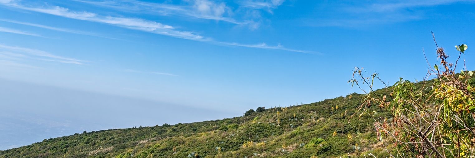 LupitaDardon's profile banner image