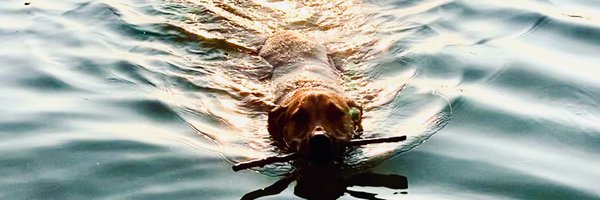 BeccaForight Profile Banner