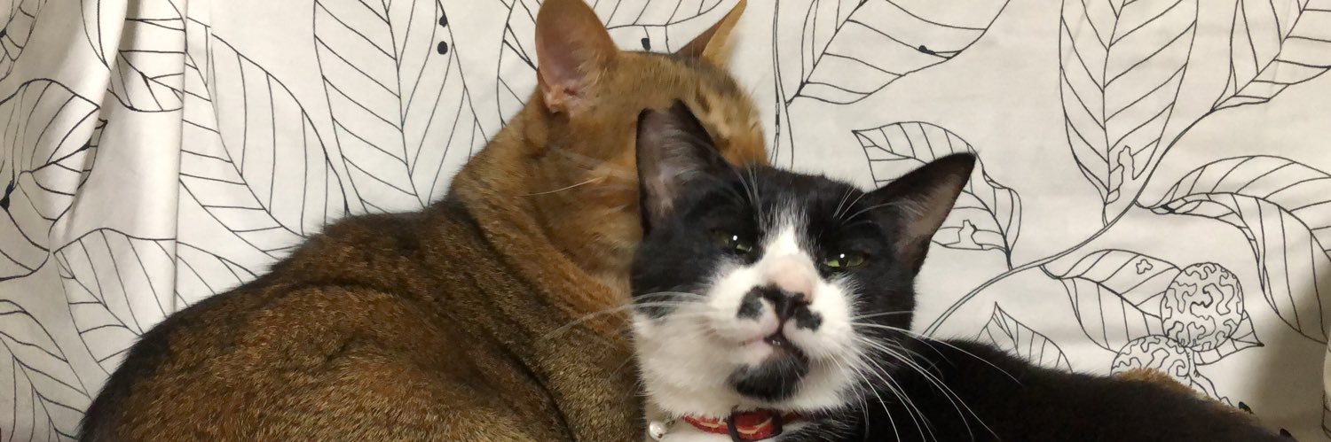 algernon102's profile banner image