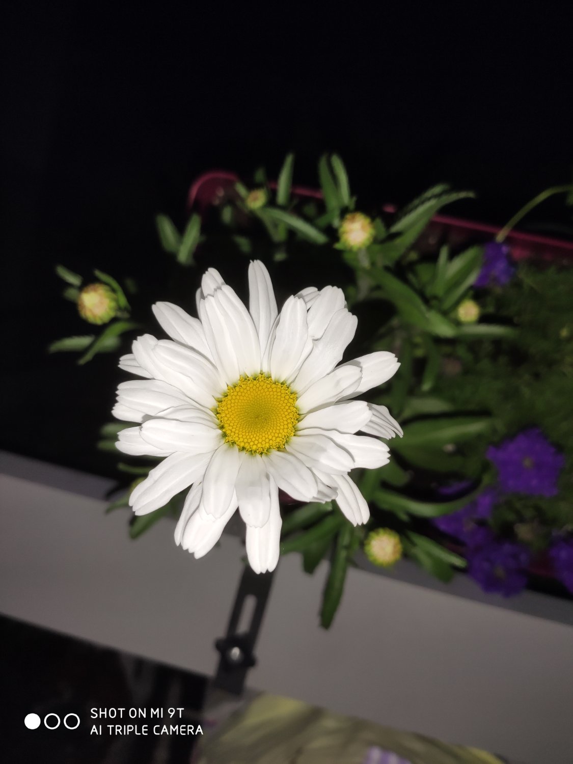 Bustis89's profile banner image