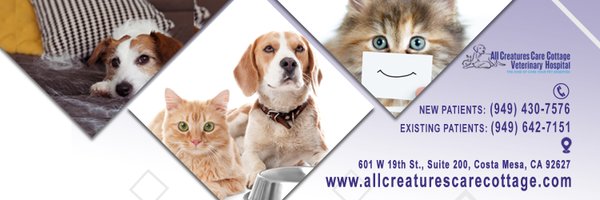 OCPetVet Profile Banner