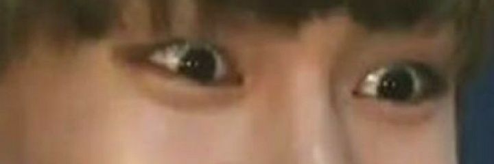 FLIM_🌵💚 banner