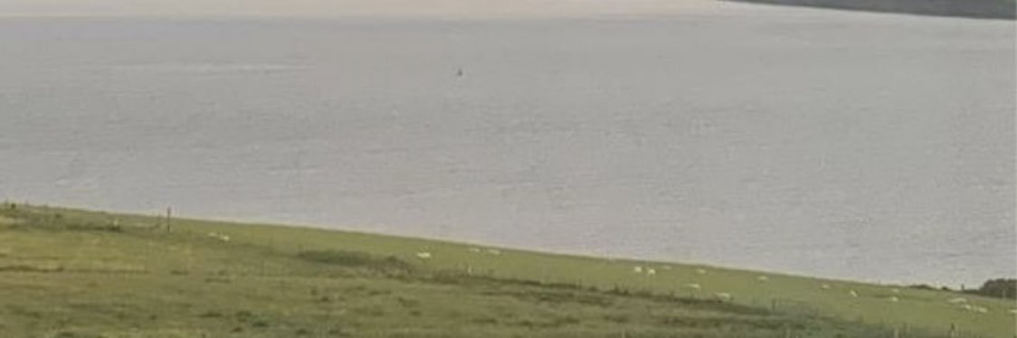 pp ‧₊˚‎🫧 banner
