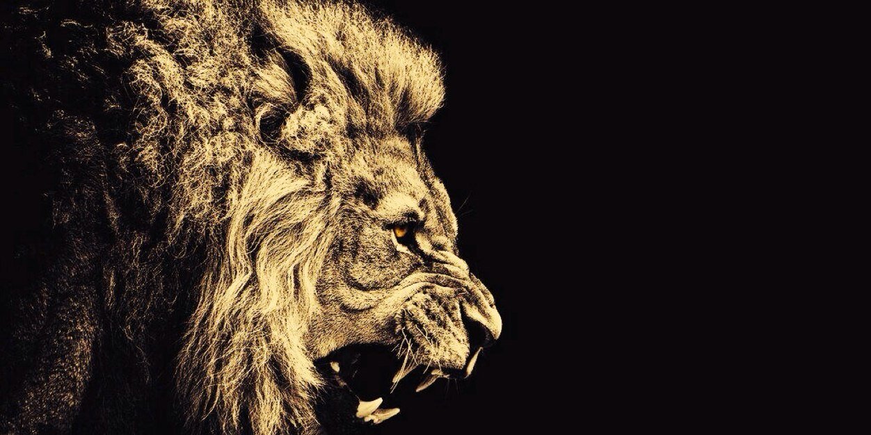 LandonBryson's profile banner image