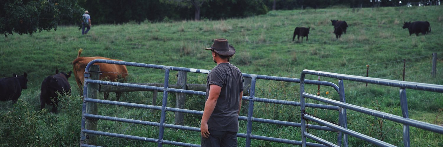 willygreg's profile banner image