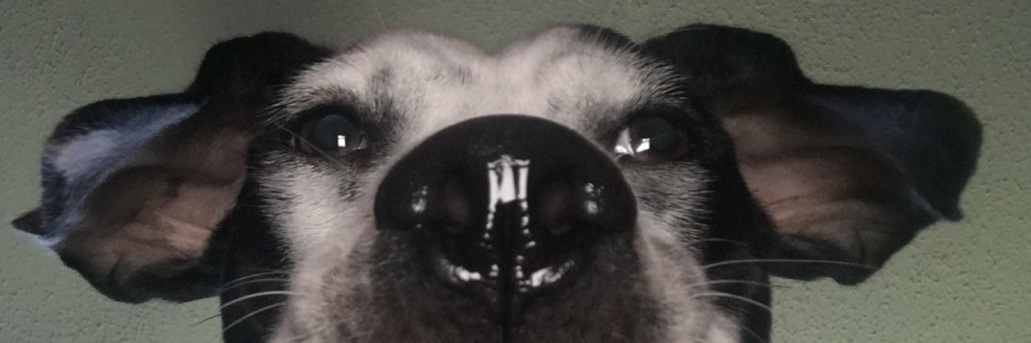 C_tree_'s profile banner image