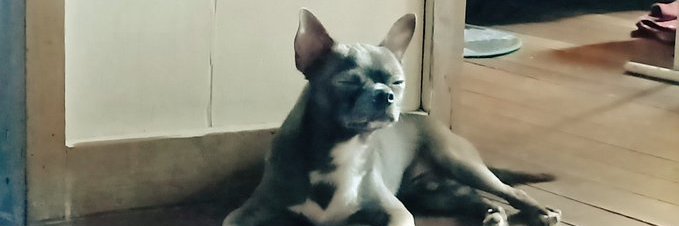 brimeyy's profile banner image