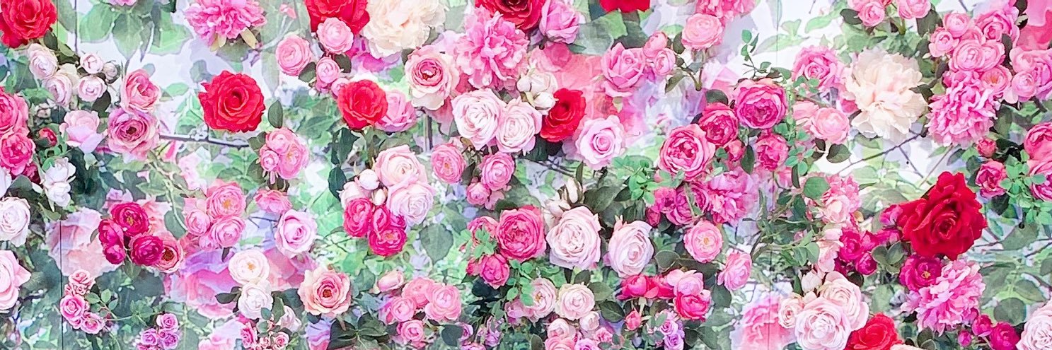 1107Nyappy's profile banner image