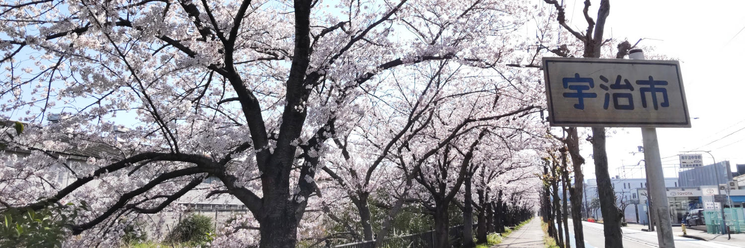 シュガー🍅 banner