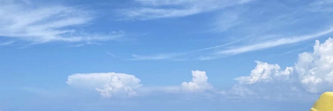 🎾 banner