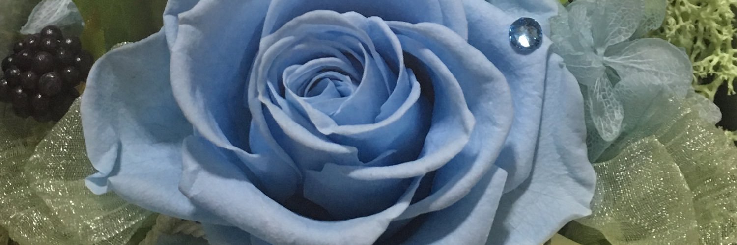 banvi_u's profile banner image