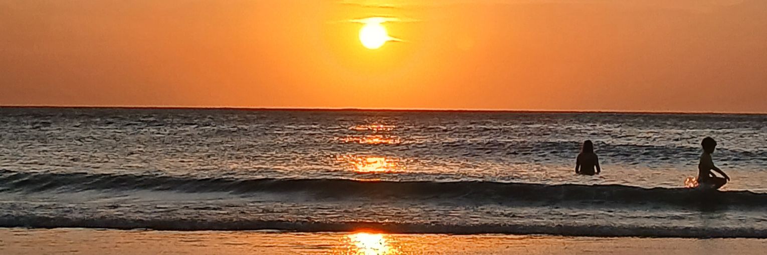 Moreno Fortal. banner