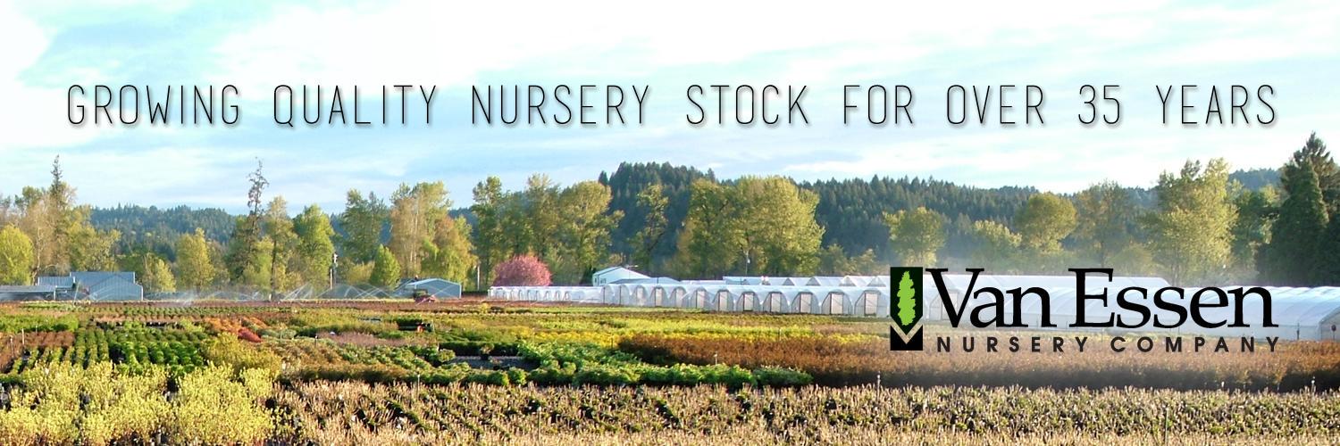 vanessennursery's profile banner image