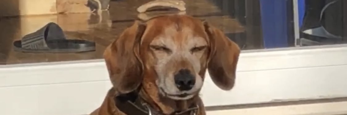 _rustypaperclip's profile banner image