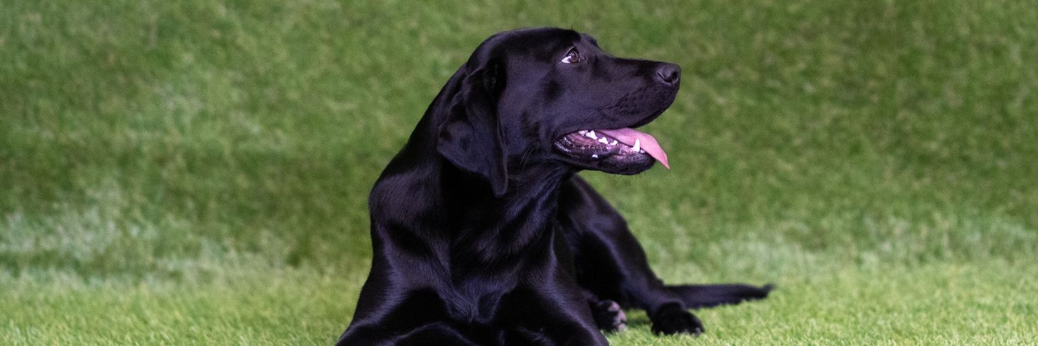 KalumYNWA's profile banner image