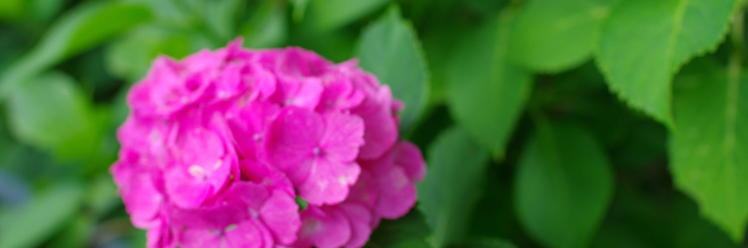 teatea715's profile banner image