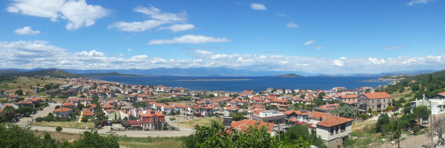 americano cat banner