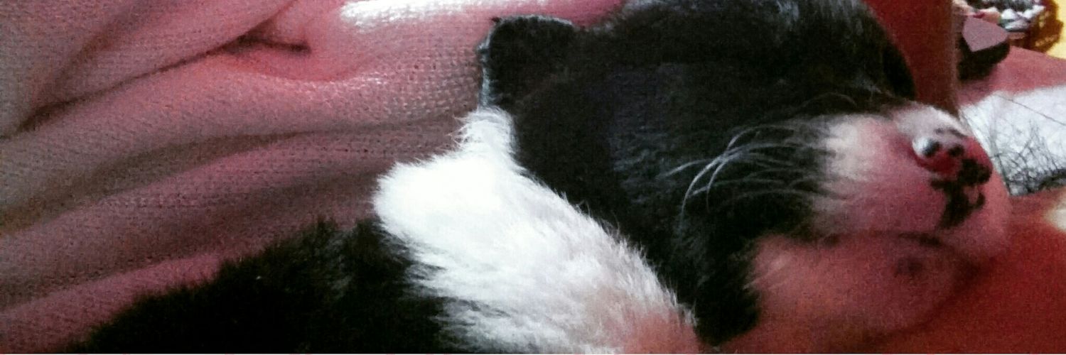 Chuni Giudicce banner