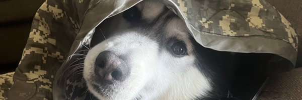 ShaneRoebuck32 Profile Banner
