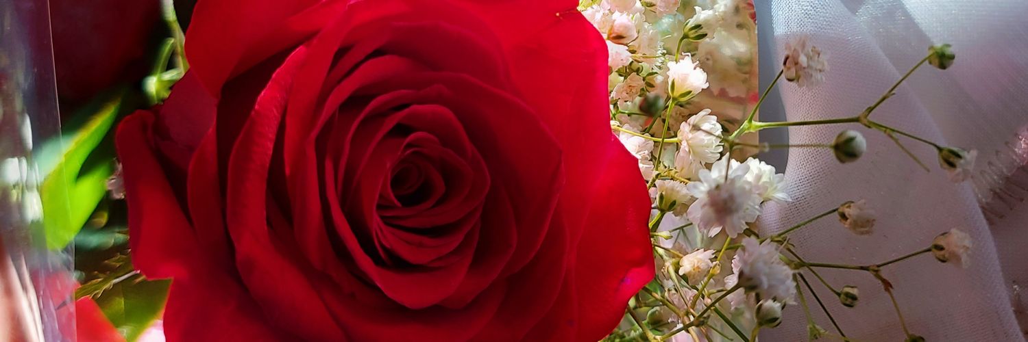 ribsgaby's profile banner image