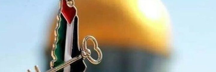 🇵🇸 Mehmet Bâl 🔻 banner