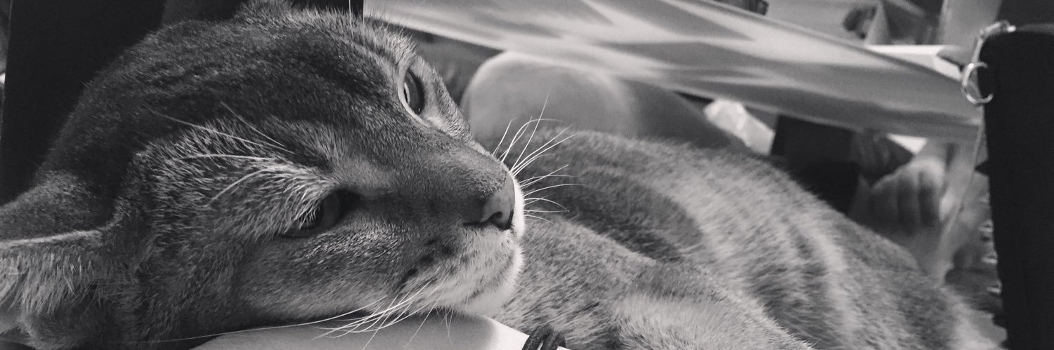 kina___115's profile banner image