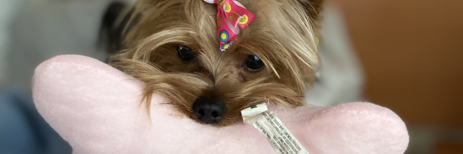 lizelads's profile banner image