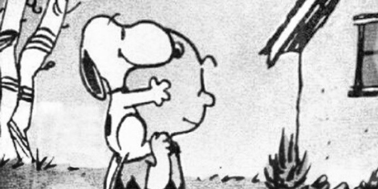 dalilalcosta's profile banner image