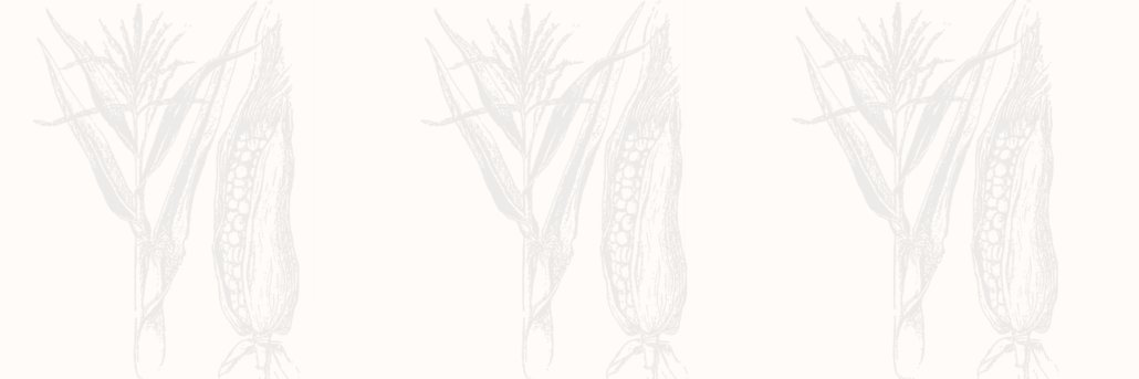 Heather Jones Research banner