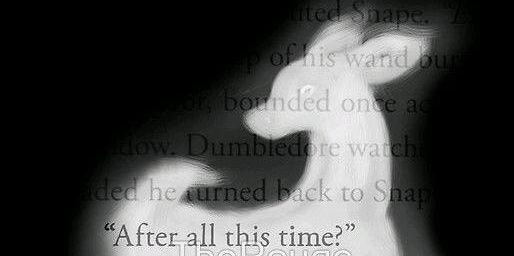 alexa_venkosay's profile banner image