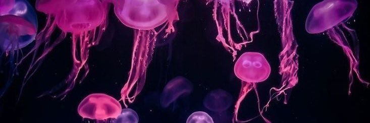 iBEIDOUB0T's profile banner image