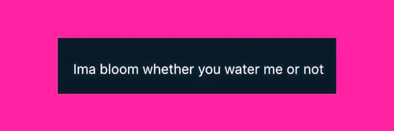 Shé Shé. 🪩 banner