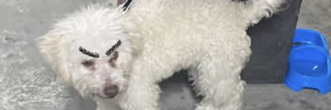 VzSebasL's profile banner image