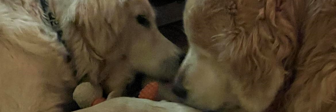 NatJuillet's profile banner image