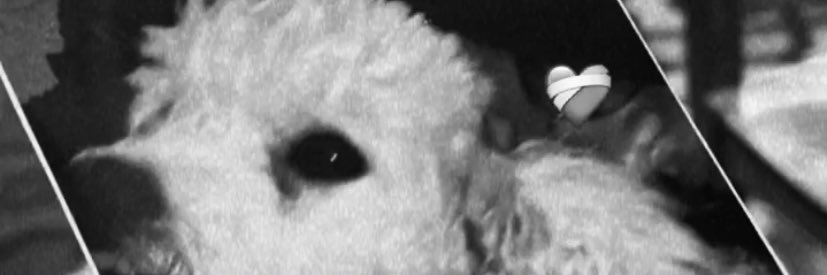 Riitasossa's profile banner image
