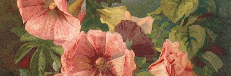 s0f1tt banner