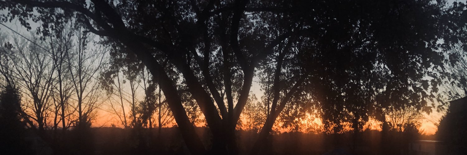 DaleBeasse's profile banner image