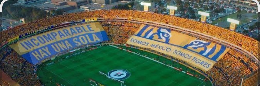 Adolfo banner