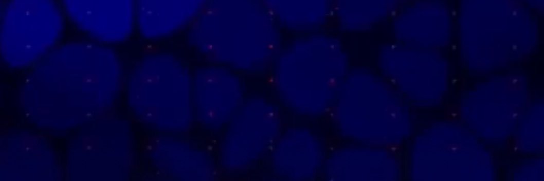 toothlessspiral's profile banner image