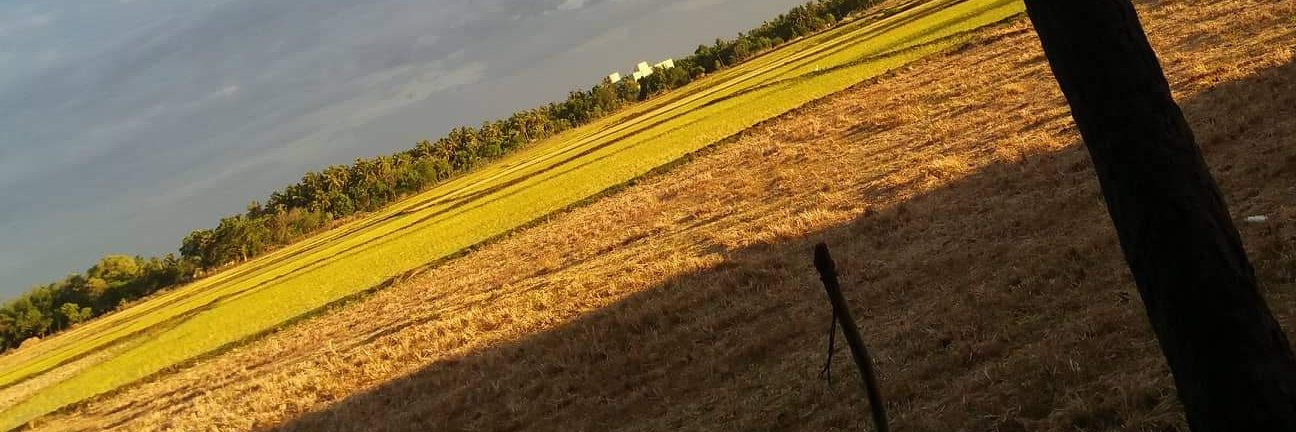 vigneshck84's profile banner image