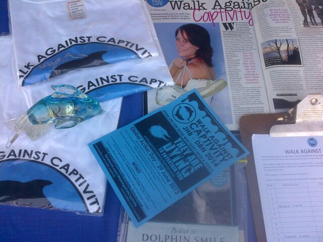 wac4Taiji's profile banner image