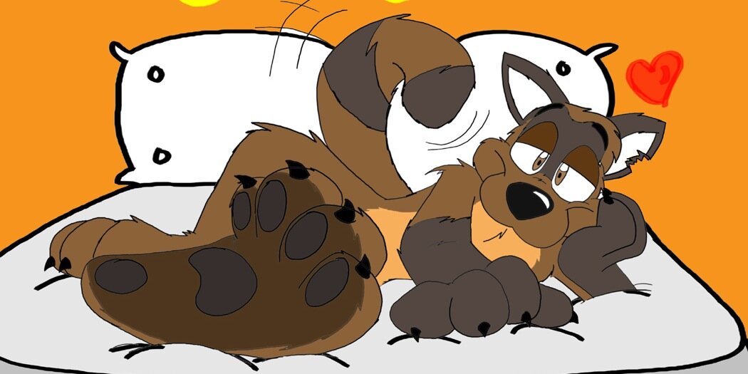 Mischevious Raccoon banner