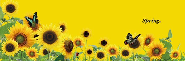 Idowuspring Profile Banner