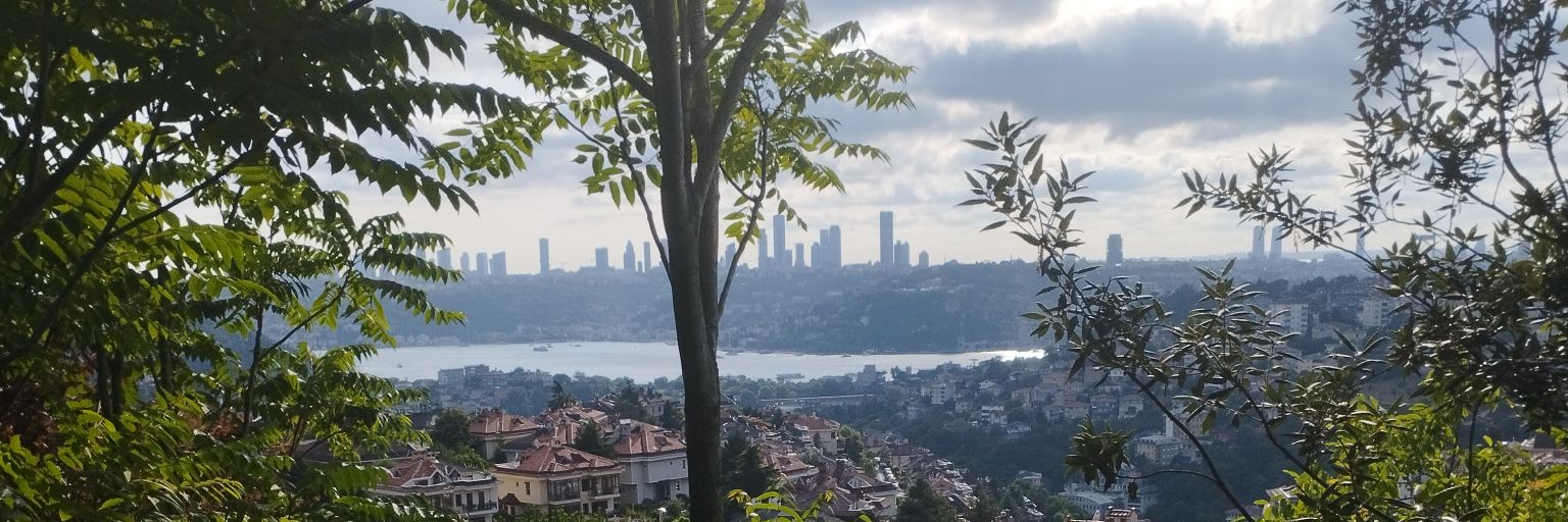 _Serkanx_'s profile banner image