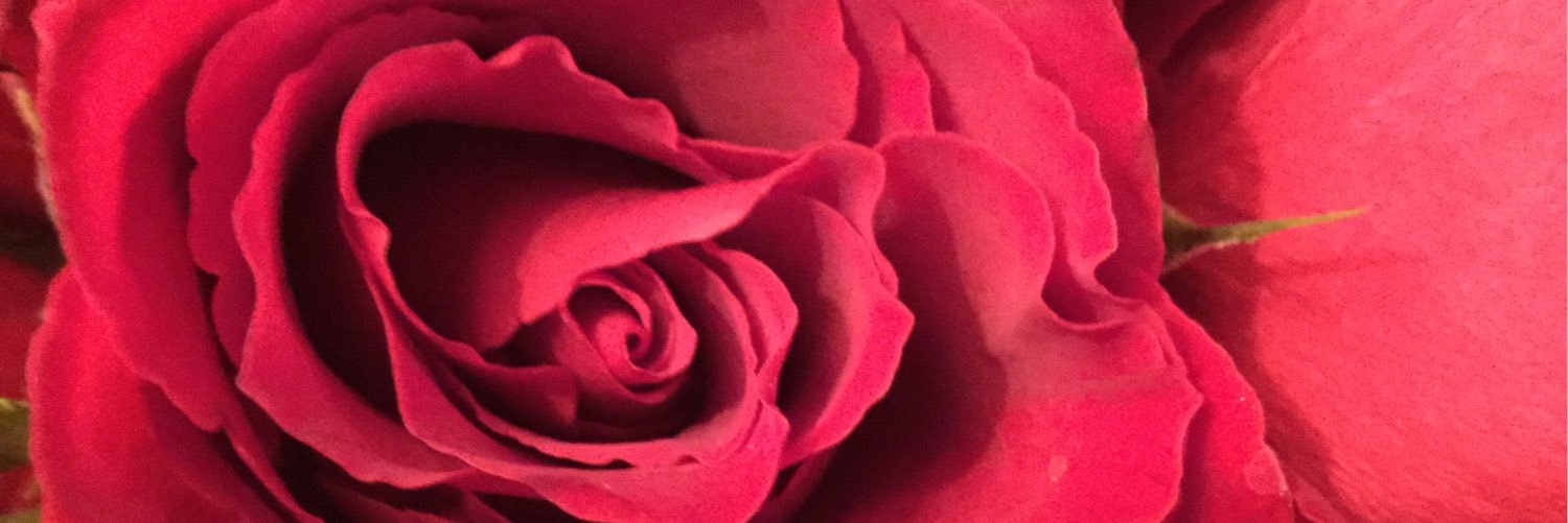 littlebourne1's profile banner image