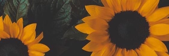 ohtixy's profile banner image