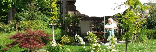 BollenSuzy Profile Banner