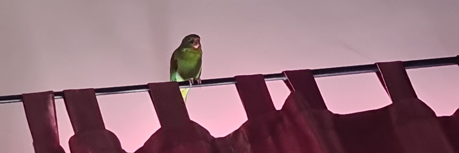 eddiaz2020's profile banner image