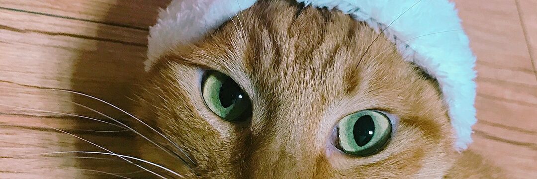 AssyariiD's profile banner image